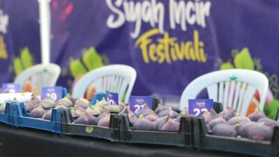 Bursa'da düzenlenen Siyah İncir Festivali, bölgenin zengin kültürel mirasını ve