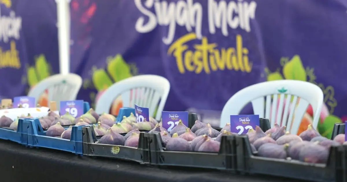 Bursa'da düzenlenen Siyah İncir Festivali, bölgenin zengin kültürel mirasını ve