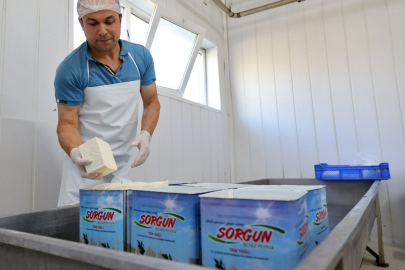 Bursa'da Sorgun Peyniri Coğrafi Tescil Kazandı