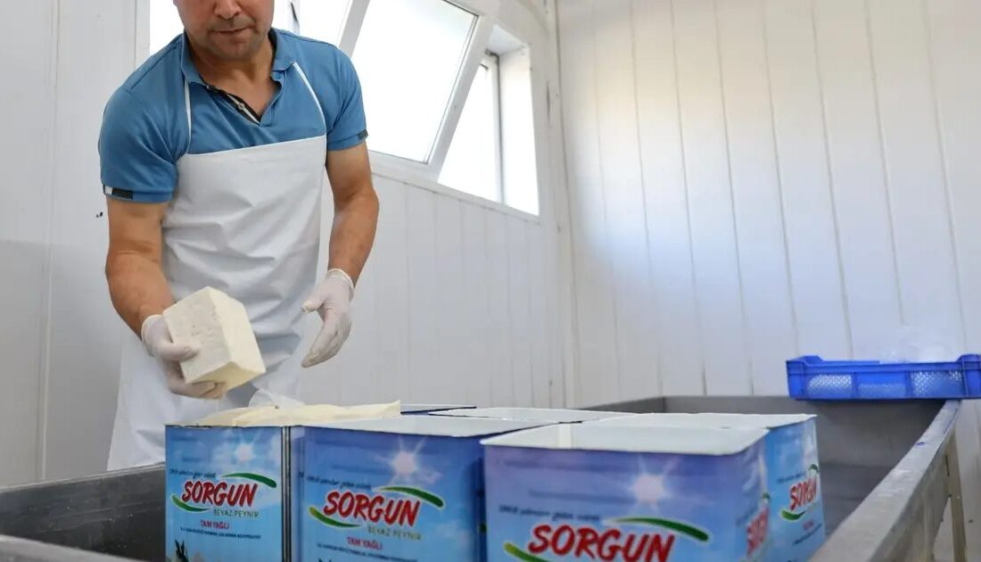Bursa'da Sorgun Peyniri, coğrafi tescil alarak kalite ve özgünlüğünü tescil