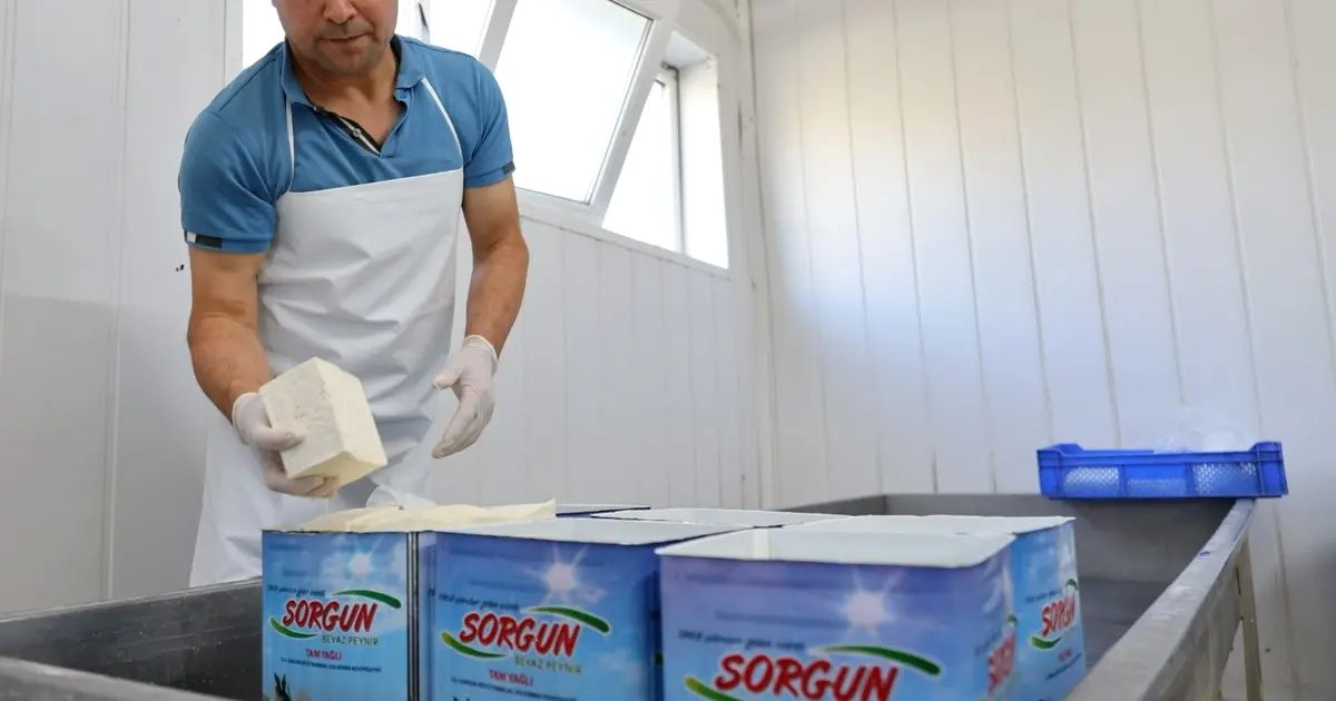 Bursa'da Sorgun Peyniri, coğrafi tescil alarak kalite ve özgünlüğünü tescil