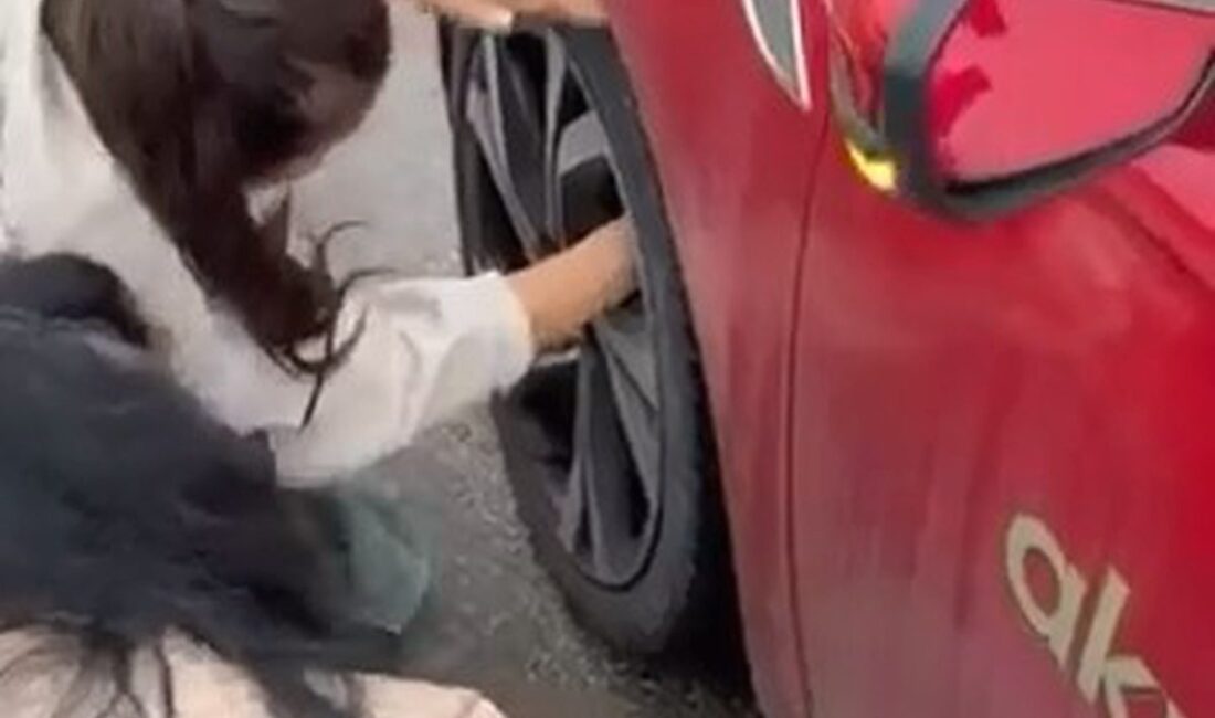 Bursa'da yavru kedinin otomobil tekerine girmesiyle ilgili detaylı bilgi ve