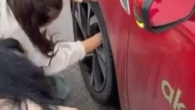 Bursa'da yavru kedinin otomobil tekerine girmesiyle ilgili detaylı bilgi ve