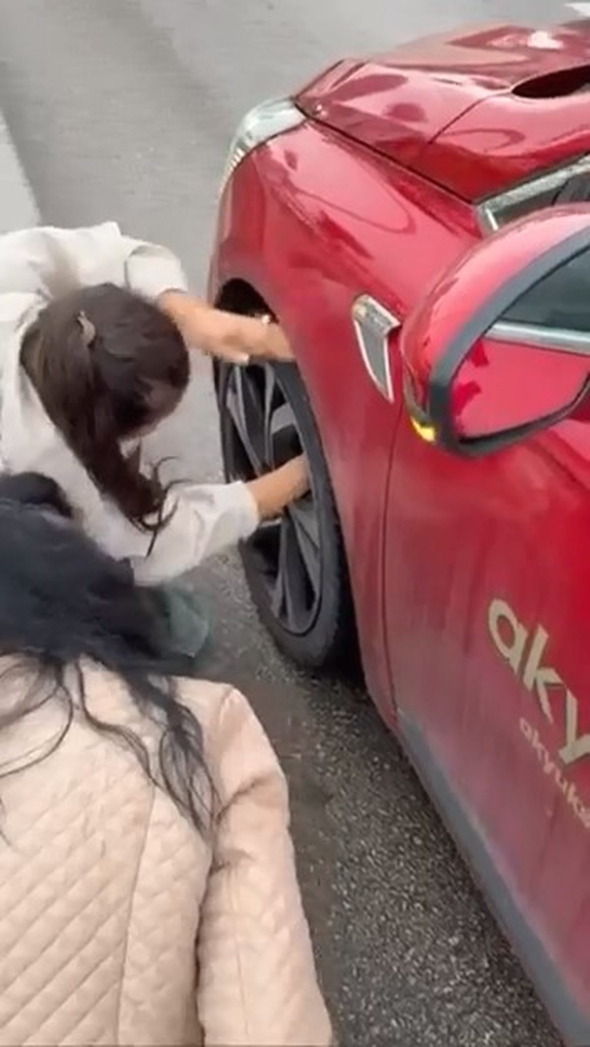 Bursa'da yavru kedinin otomobil tekerine girmesiyle ilgili detaylı bilgi ve