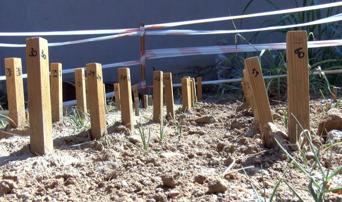 Bursa'da yüksek öğrenim projeleri tanıtıldı. Eğitimde yeni fırsatlar ve gelişmeler