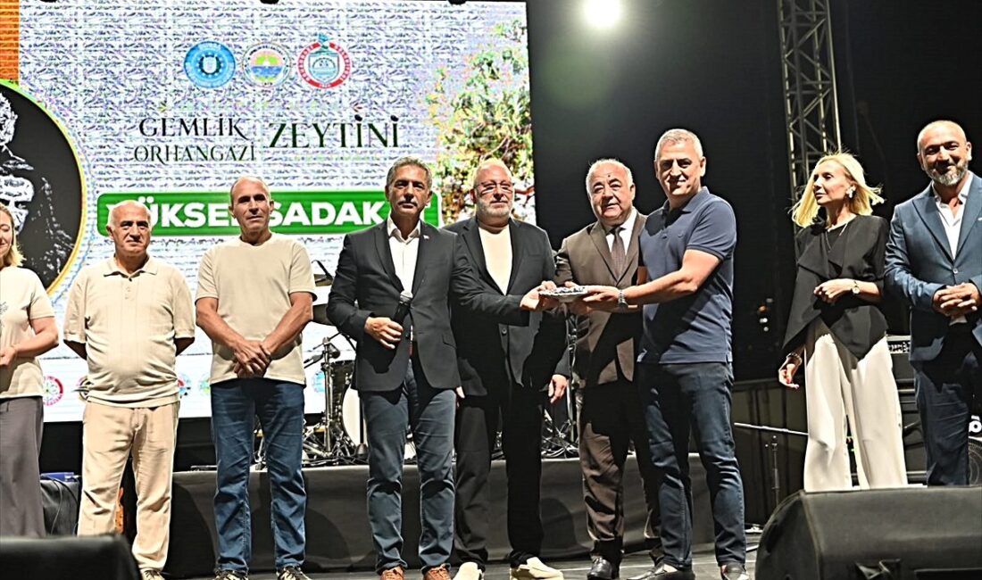 Bursa'da gerçekleşen Zeytin Festivali ve satış etkinlikleri hakkında detaylı bilgiler,