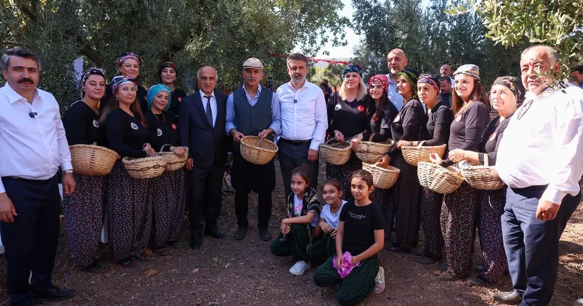 Bursa'da zeytin hasadı coşkusu yaklaşıyor. En yeni gelişmeler ve etkinlikler