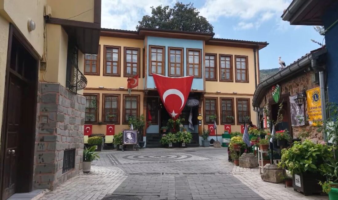 Bursa'daki 300 yıllık manolya ağacı ve Zeki Müren'in izleri hakkında
