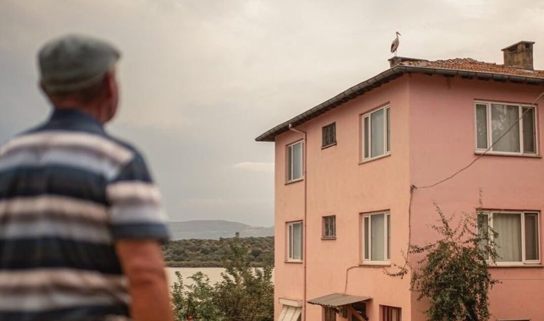 Bursa'dan Afrika'ya leylek göçünün detayları, göç yolu ve ekolojik önemi