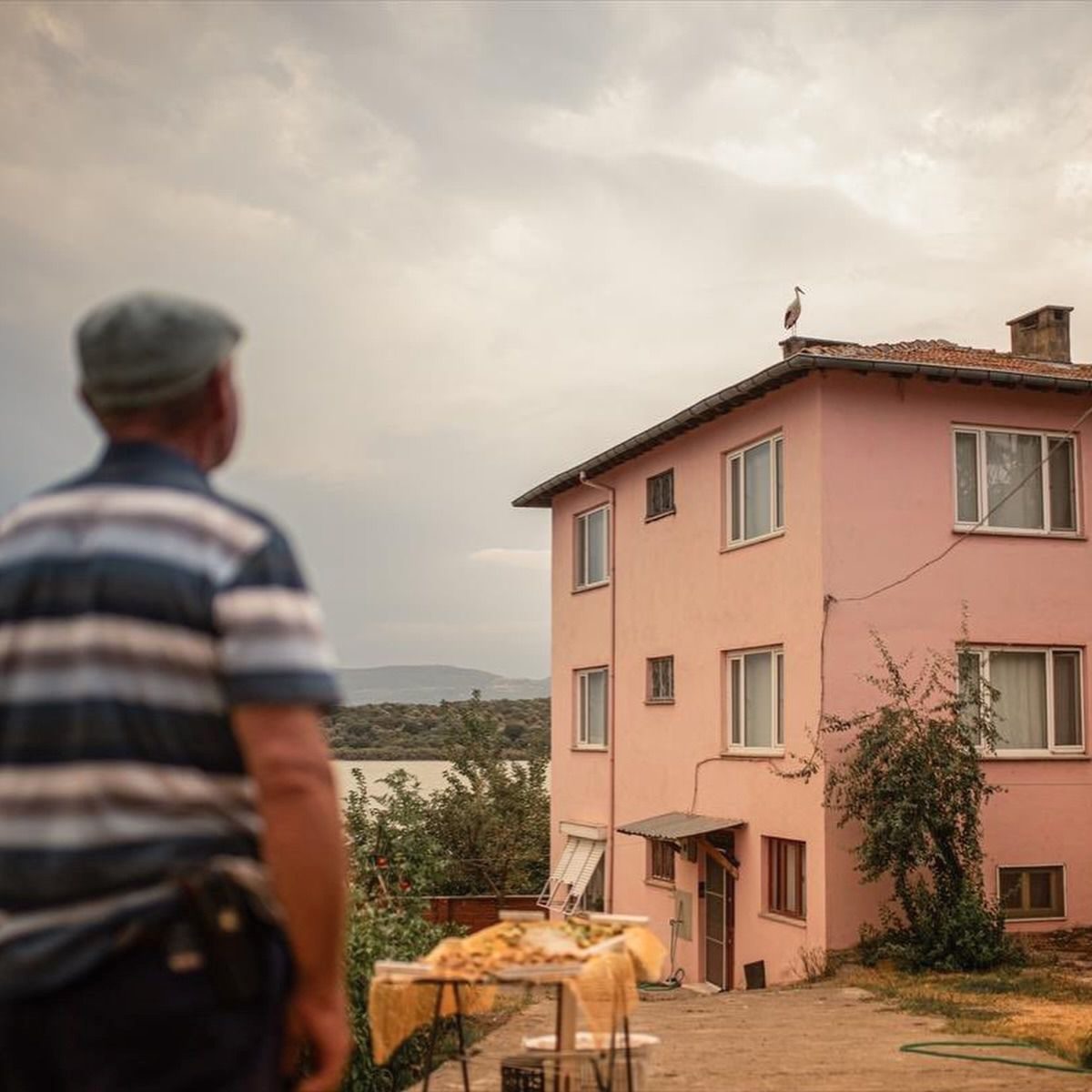 Bursa'dan Afrika'ya leylek göçünün detayları, göç yolu ve ekolojik önemi