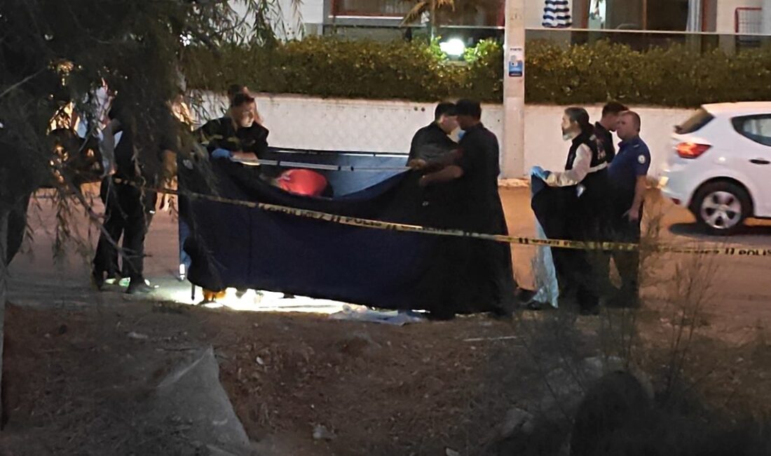 Edremit'te dere içinde ölü bulunmasıyla ilgili detaylar, olayın iç yüzü