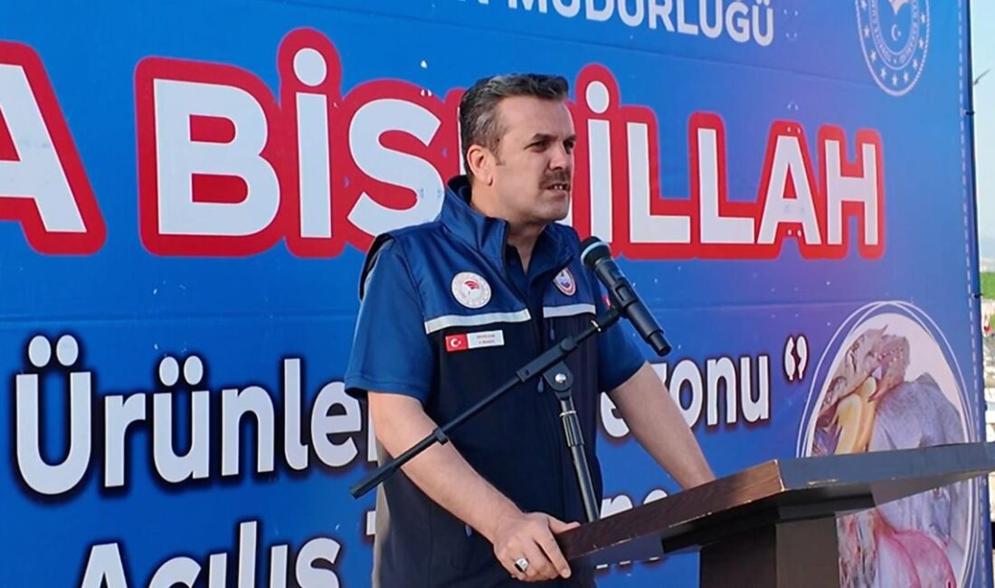 Gemlik'te balıkçılar, yeni sezona merhaba dedi. Taze deniz ürünleri ve