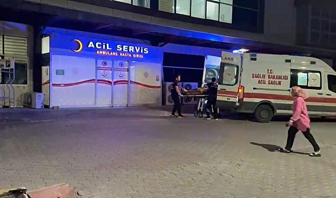 Gemlik'te gerçekleşen silahlı saldırı olayı ve polis operasyonu ile ilgili