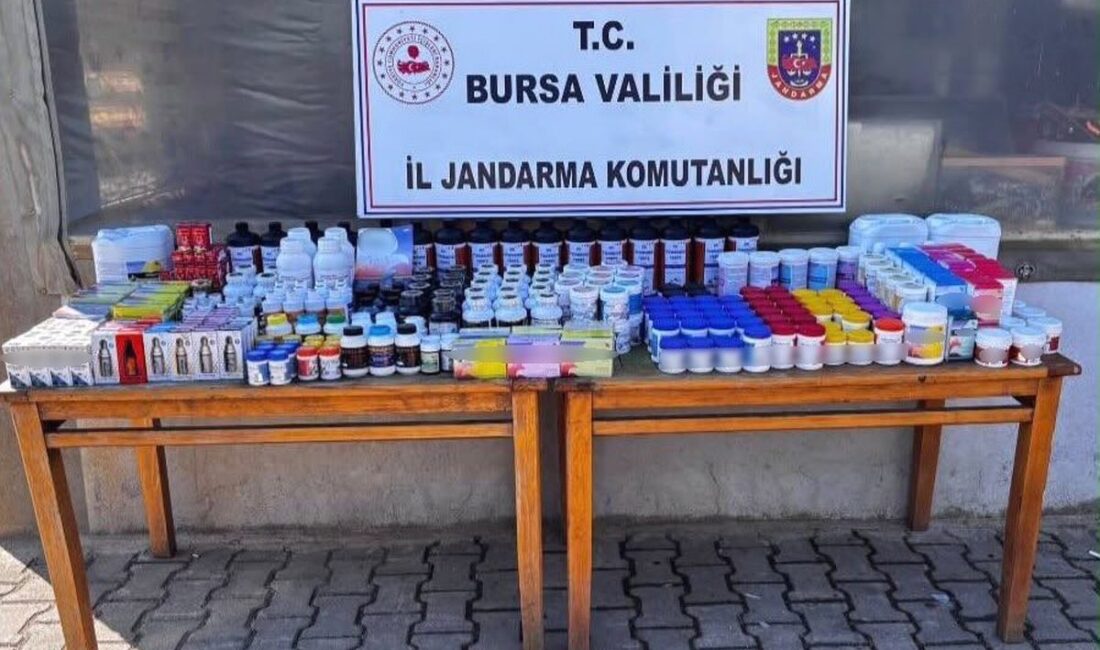 Gürsu'da gerçekleştirilen kaçak veteriner ilacı operasyonu hakkında detaylar; yasa dışı