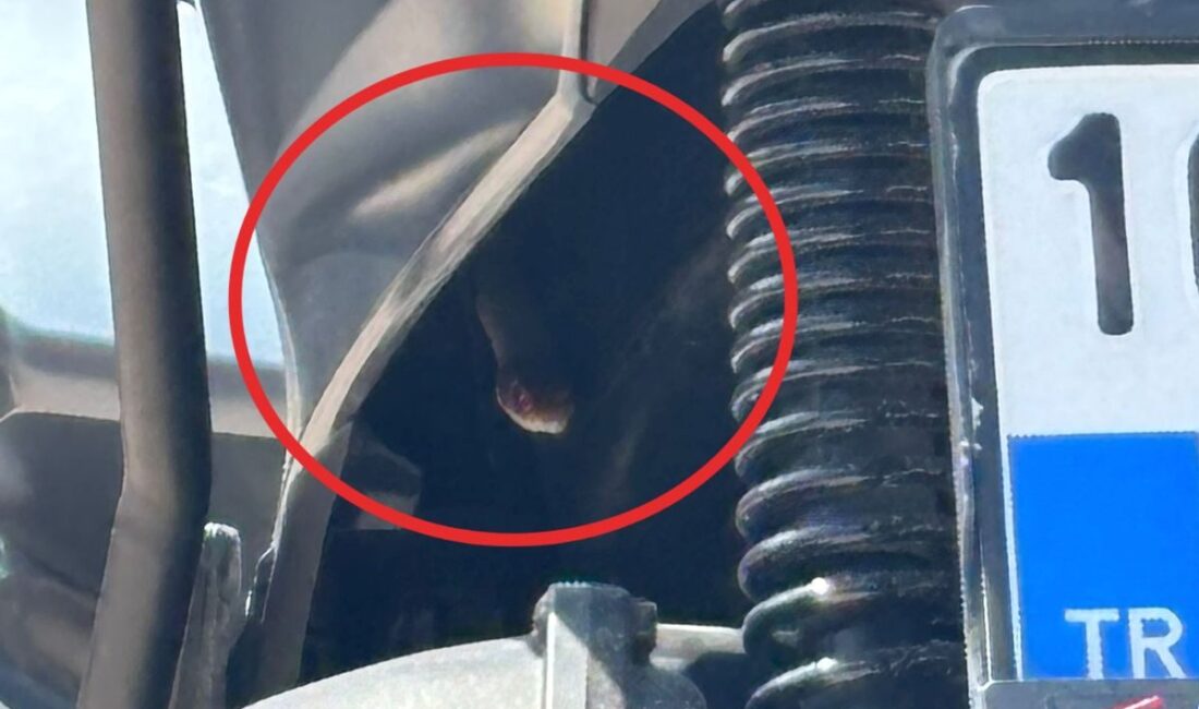 İnegöl'de motosiklet sürücülerinin yılan paniği yaşadığı olay detayları ve güvenlik