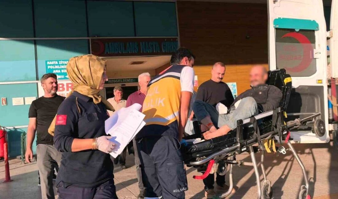 İnegöl'de orman işçisinin kazası: 6 parmak kopması, detaylar ve gelişmeler