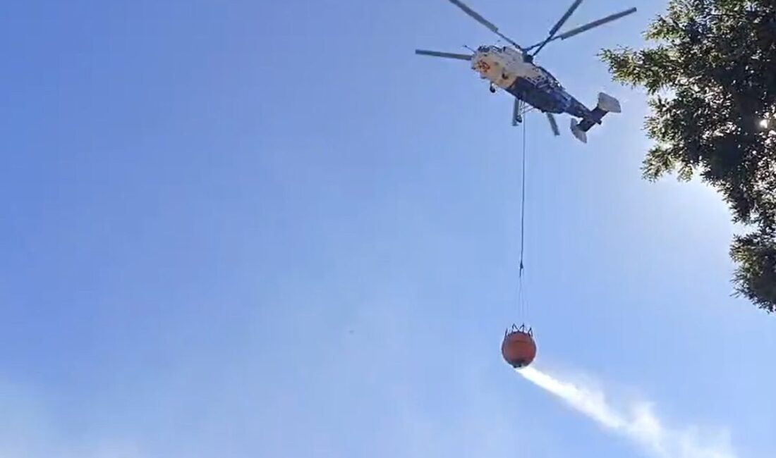 İznik'te çıkan orman yangınıyla ilgili gelişmeleri, yetkililerin açıklamaları ve alınan