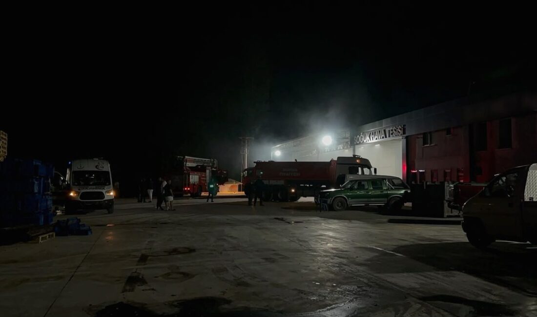 İznik'te soğuk depoda çıkan yangın paniğe neden oldu. Olayla ilgili