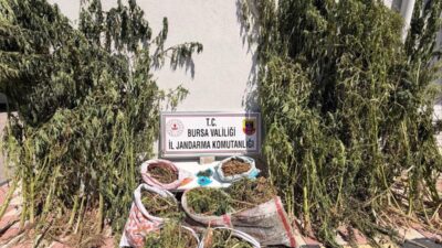 Karacabey’de gerçekleştirilen uyuşturucu operasyonlarıyla ilgili resmi detaylar ve hızla gelişen