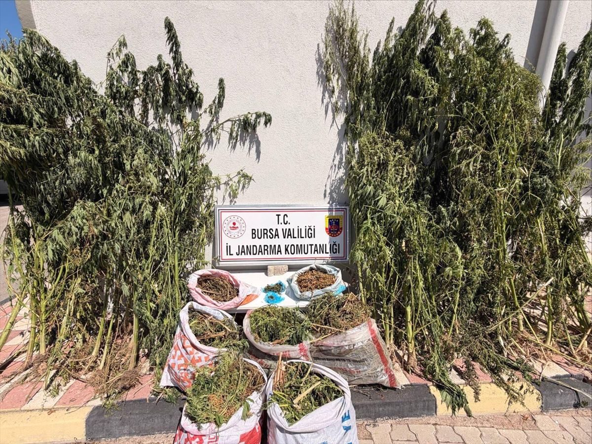 Karacabey’de gerçekleştirilen uyuşturucu operasyonlarıyla ilgili resmi detaylar ve hızla gelişen