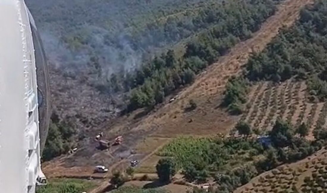 Kestel'de anız yangınlarına hava müdahalesi gerçekleştirildi. Yangınların kontrol altına alınması
