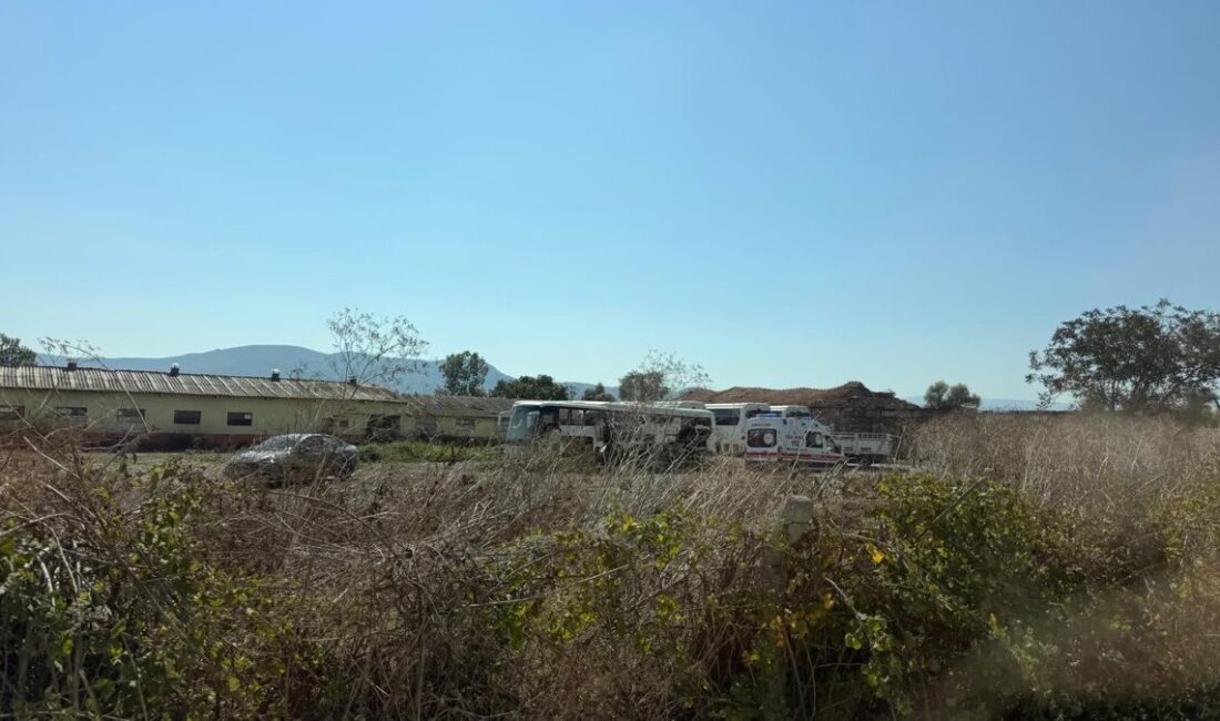 Mustafakemalpaşa'da baltayla işlenen cinayetle ilgili detaylar, olayın sebepleri ve güvenlik