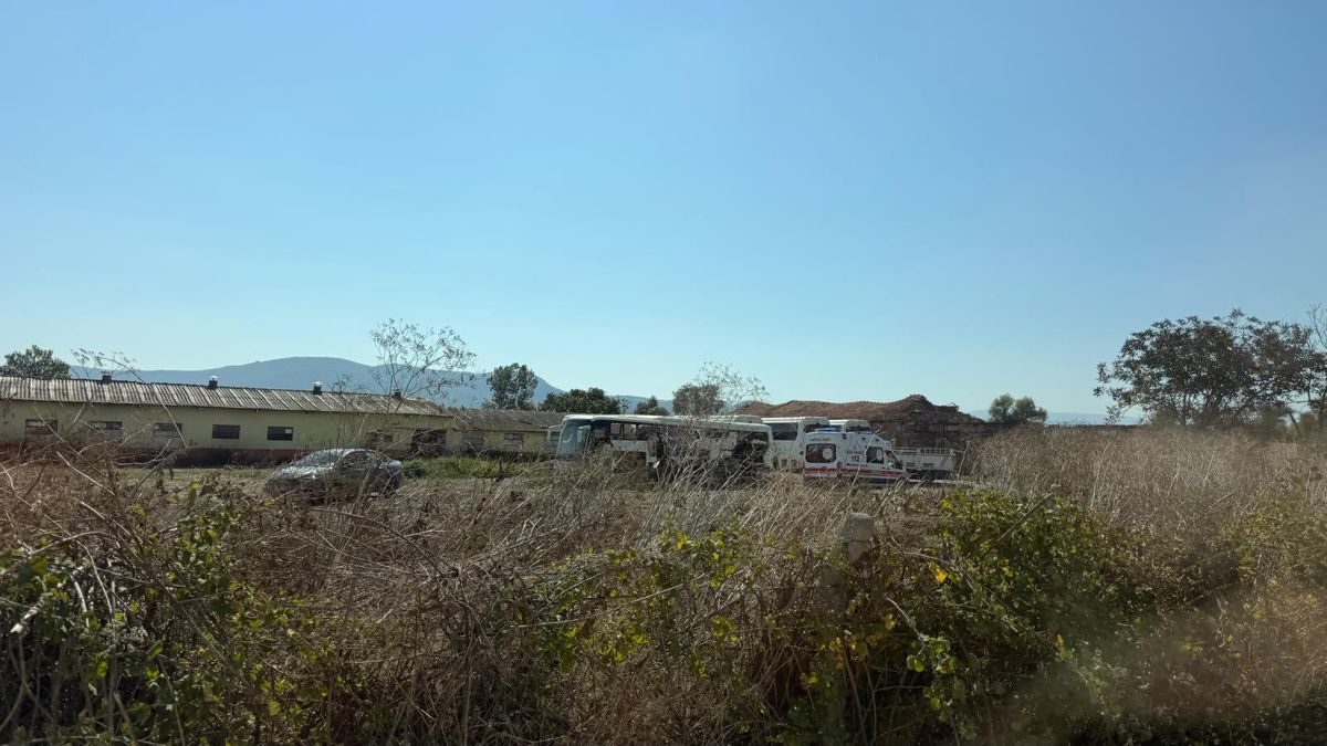 Mustafakemalpaşa'da baltayla işlenen cinayetle ilgili detaylar, olayın sebepleri ve güvenlik