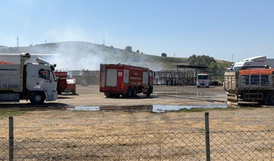 Mustafakemalpaşa'da çıkan yangın kontrol altına alınarak söndürülmüştür. Güvenlik ve önlemler