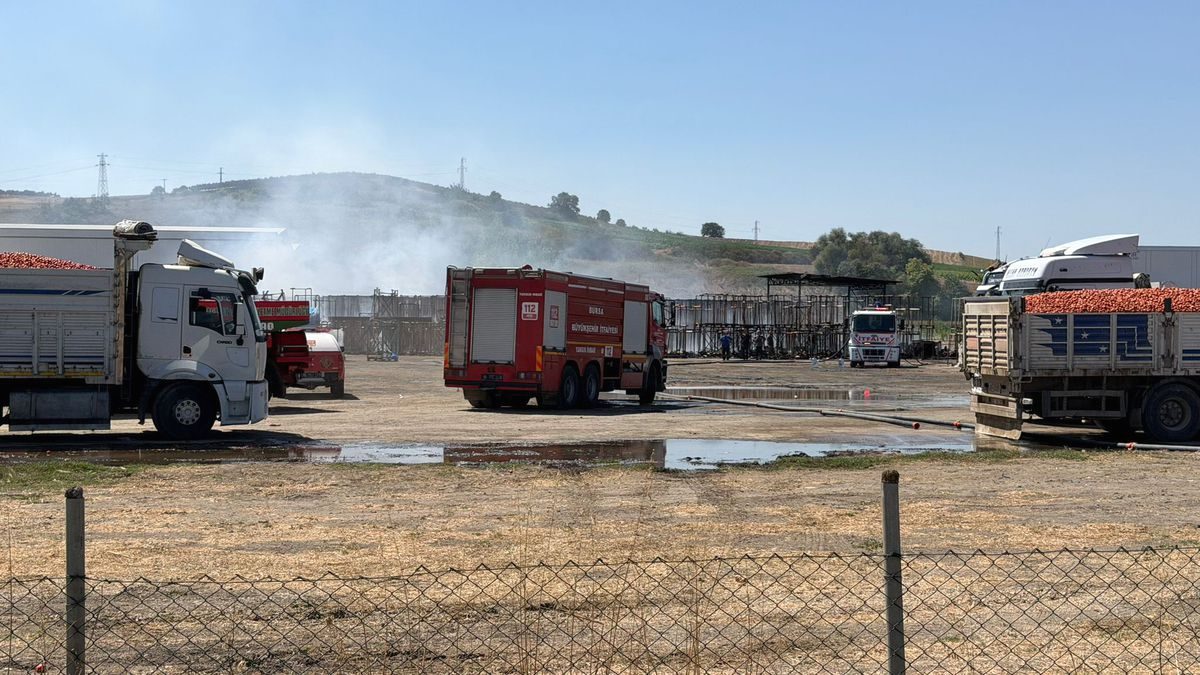Mustafakemalpaşa'da çıkan yangın kontrol altına alınarak söndürülmüştür. Güvenlik ve önlemler