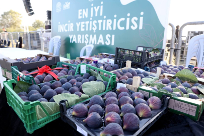 Nilüfer Belediyesi İncir Festivali Düzenledi