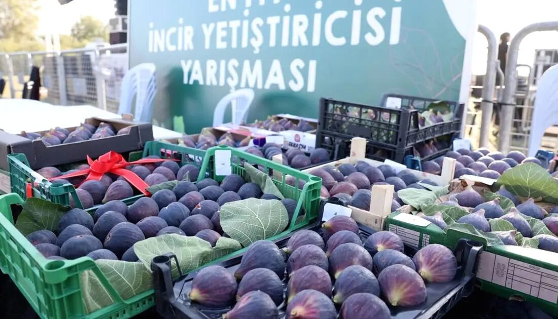 Nilüfer Belediyesi tarafından düzenlenen İncir Festivali, bölgenin kültürel zenginliklerini ve