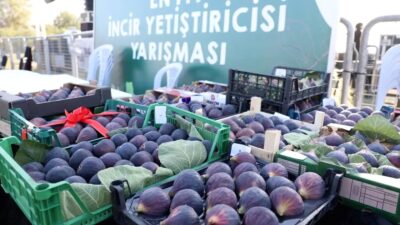 Nilüfer Belediyesi tarafından düzenlenen İncir Festivali, bölgenin kültürel zenginliklerini ve