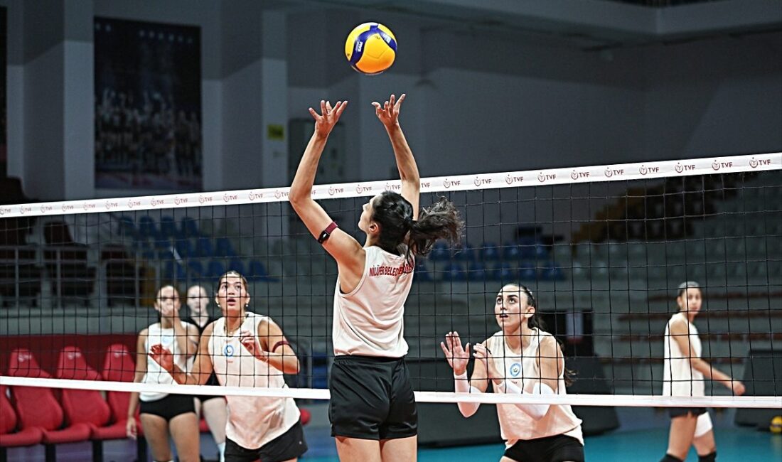 Nilüfer Belediyespor, genç ve dinamik kadrosuyla ofansif gücünü artırıyor, başarılı