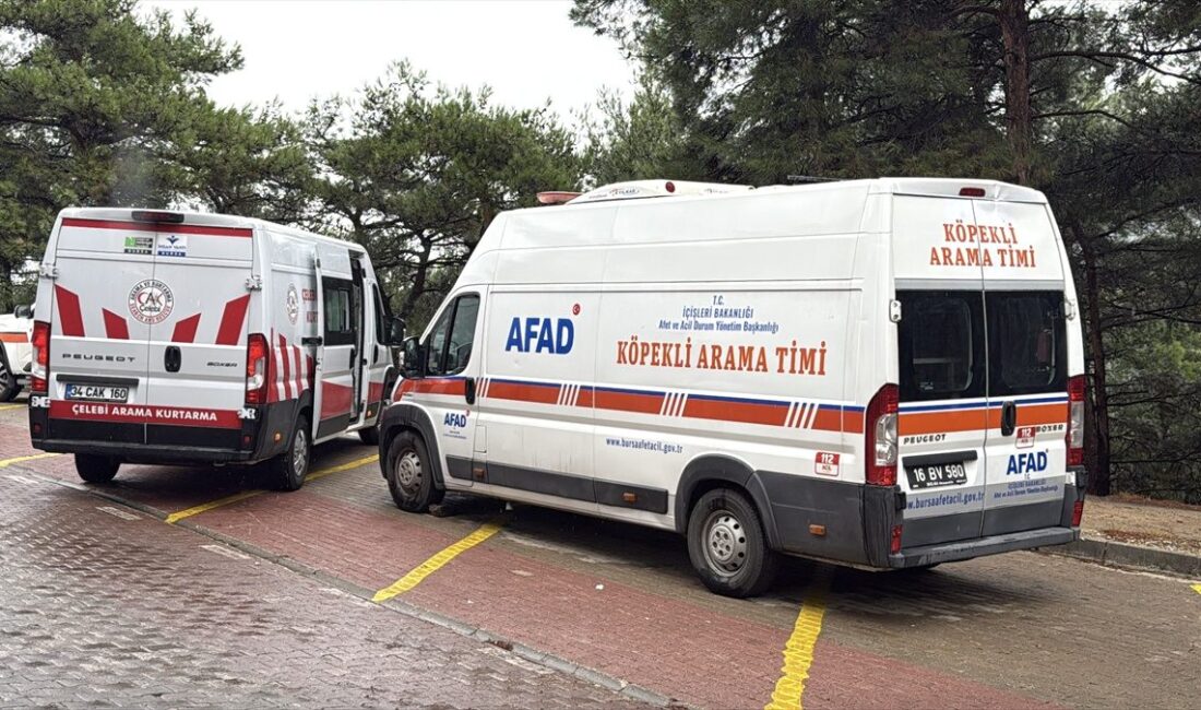 Nilüfer'de ormanda gerçekleşen olayda ceset bulunmuştur. Detaylar ve gelişmeler için