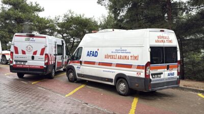 Nilüfer'de ormanda gerçekleşen olayda ceset bulunmuştur. Detaylar ve gelişmeler için