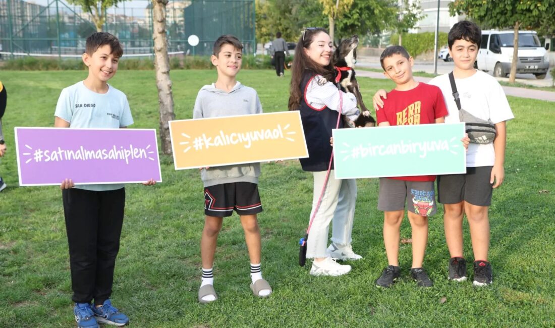 Nilüfer'de sokak hayvanlarının sahiplendirilmesine yönelik çalışmalarımıza ilişkin resmi ve detaylı