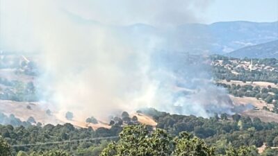 Orhaneli'deki orman yangınına hızlı ve etkili müdahale çalışmaları devam ediyor.