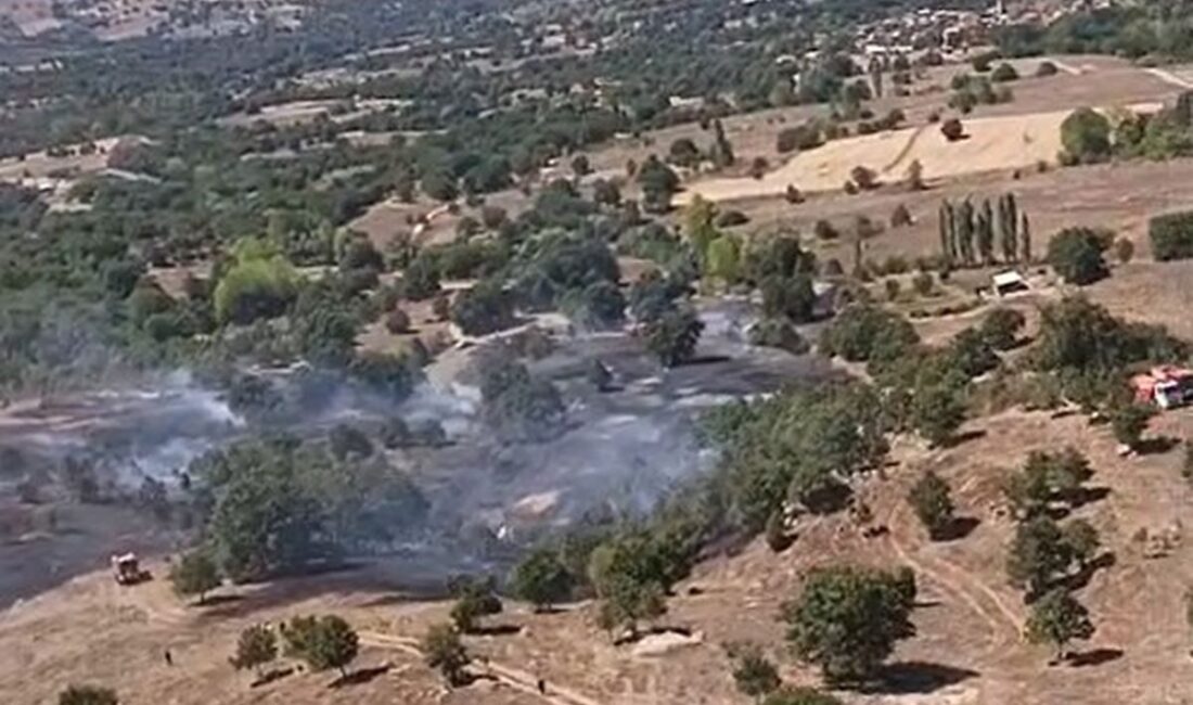 Orhaneli'nde anız yangını kontrol altına alındı. Yetkililer yangının büyümesini engelleyerek,