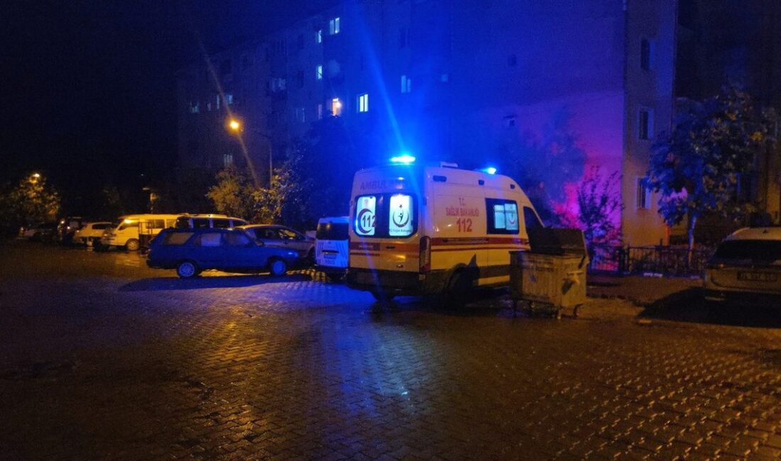 Orhangazi'de emekli doktorun ölümüyle ilgili detaylar, olayın nedenleri ve gelişmeler