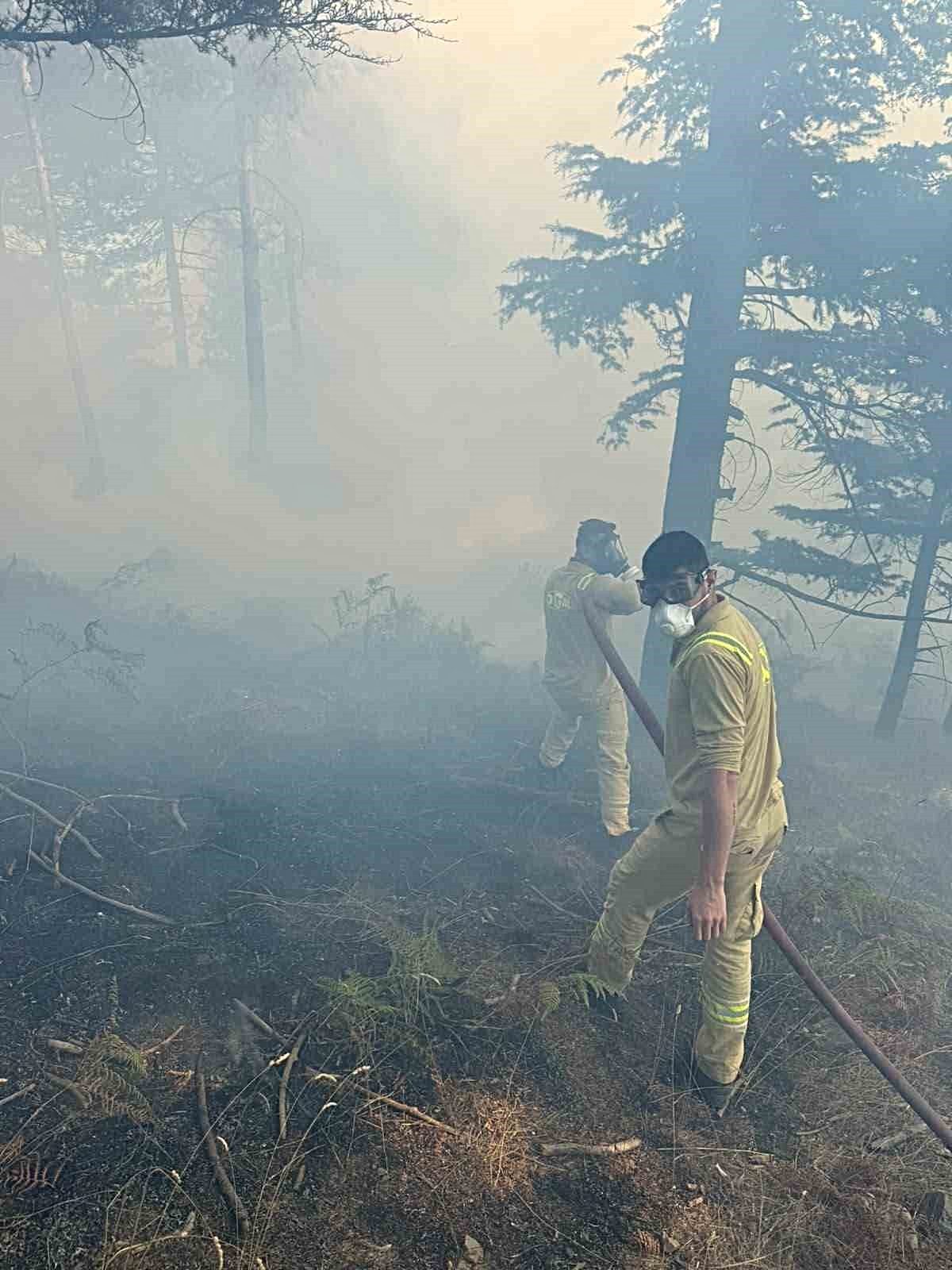 Orhangazi'de orman yangını başarıyla kontrol altına alındı. Yetkililer, olayla ilgili
