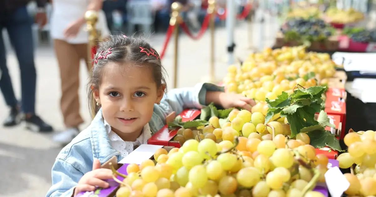 Osmangazi’de gerçekleşen Üzüm Festivali, katılımcılardan büyük ilgi gördü. Bölgenin kültürel