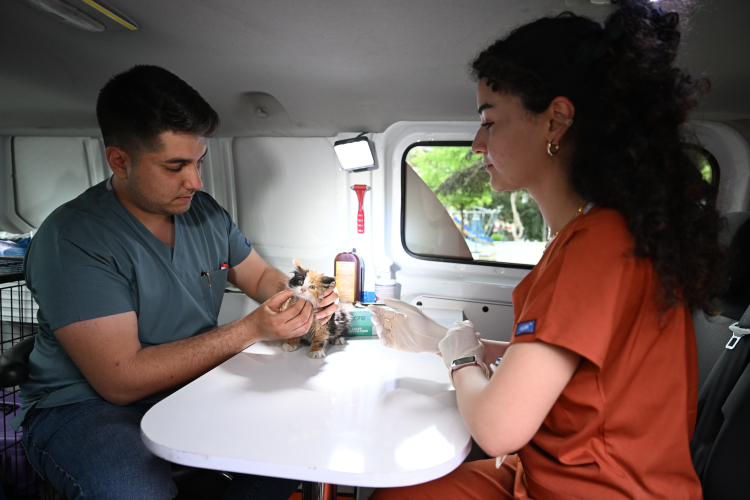 Yıldırım'da Sahipsiz Hayvanlara Mobil Destek