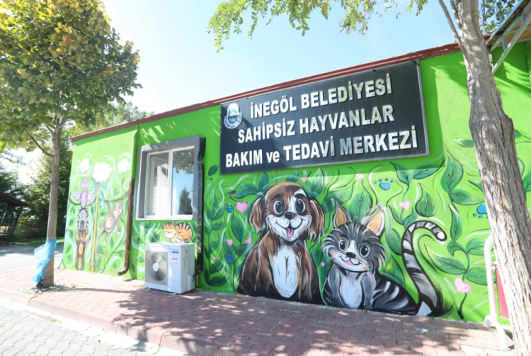 Bursa İnegöl'de Hayvan Sevgisi Paneli