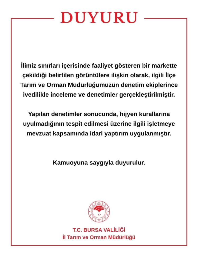 Bursa Mudanya'da Markette kedinin gıda saldırısı
