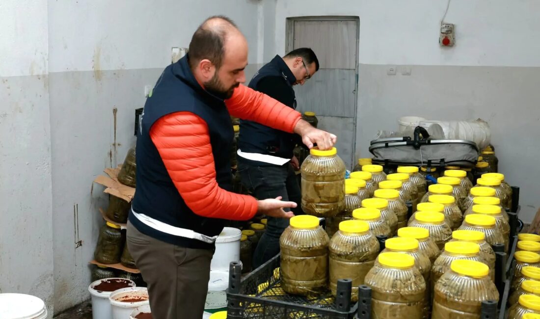 Bursa Osmangazi'de sağlıksız gıda denetimleri ile toplum sağlığını koruma ve