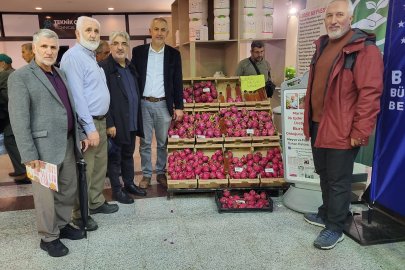 Bursa Tarım Güçlendirme Çalıştayı düzenlendi