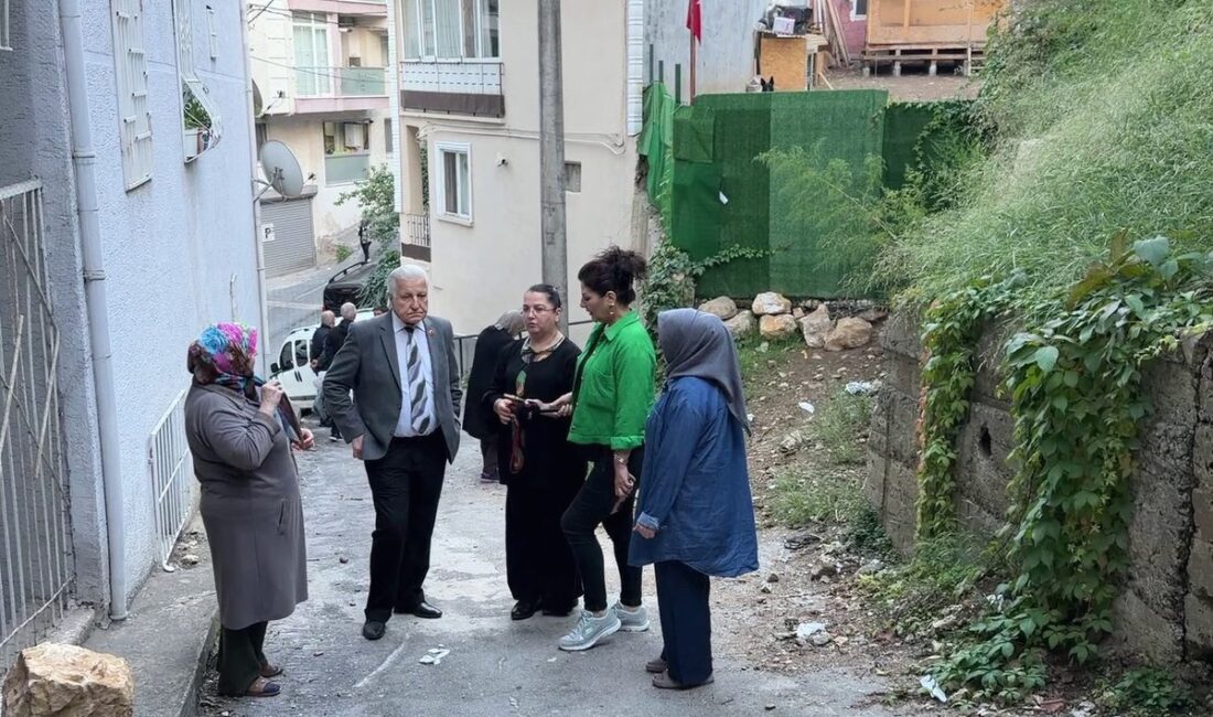 Bursa Yıldırım'daki köpek çiftliği kriziyle ilgili detaylar, sorunun kökenleri ve