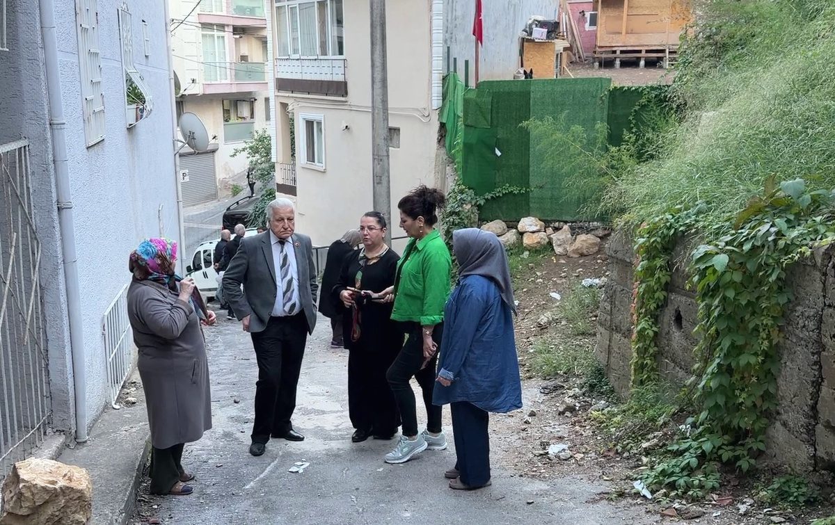 Bursa Yıldırım'daki köpek çiftliği kriziyle ilgili detaylar, sorunun kökenleri ve