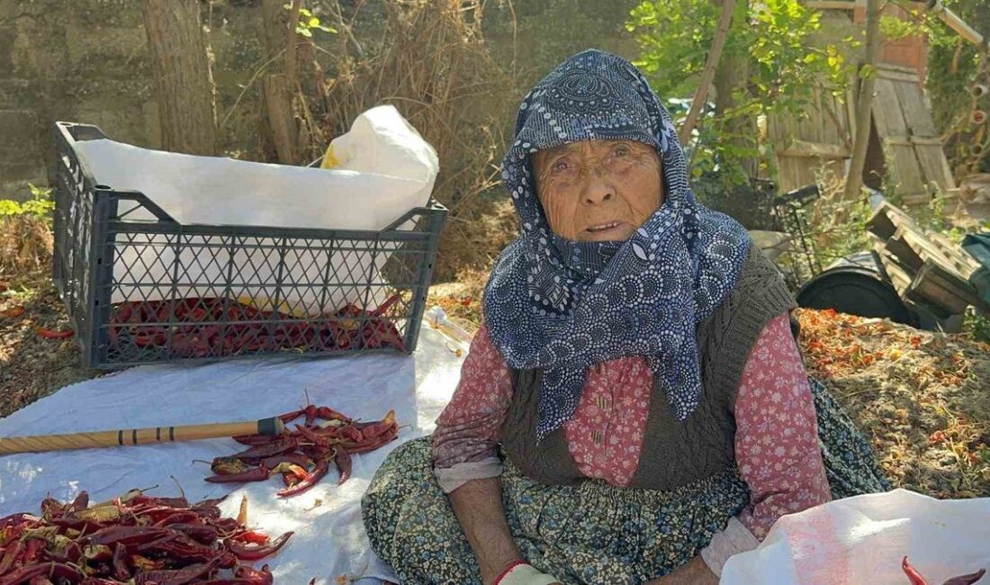 Bursa'da 90 yaşındaki annemin biber çalışmasıyla ilgili detaylar, deneyimler ve