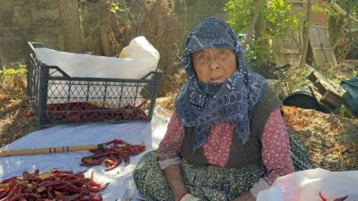 Bursa'da 90 yaşındaki annemin biber çalışmasıyla ilgili detaylar, deneyimler ve